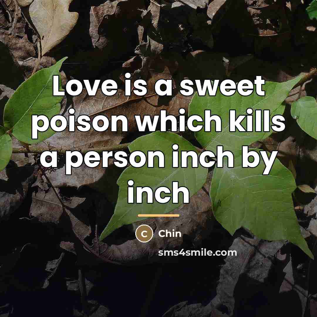 “Love is a sweet poison which kills a person inch…” quote by Chin