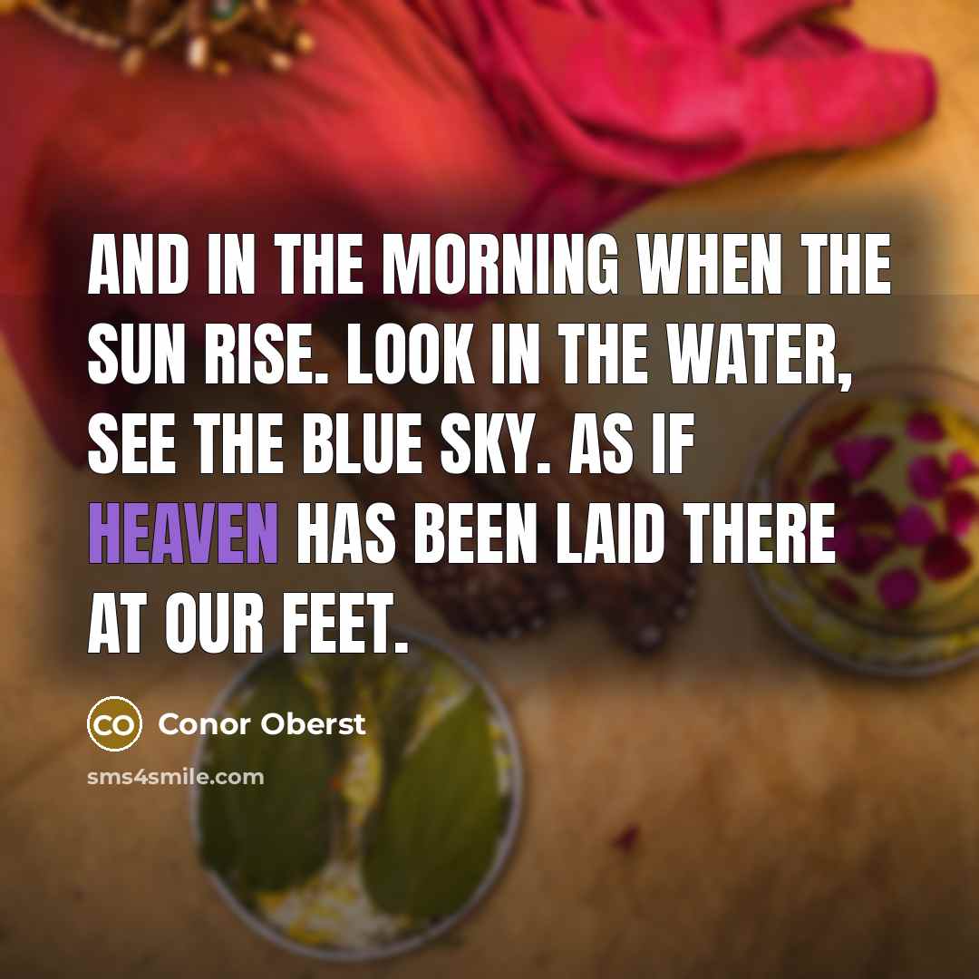 “And in the morning when the sun rise. Look in…” quote by Conor Oberst