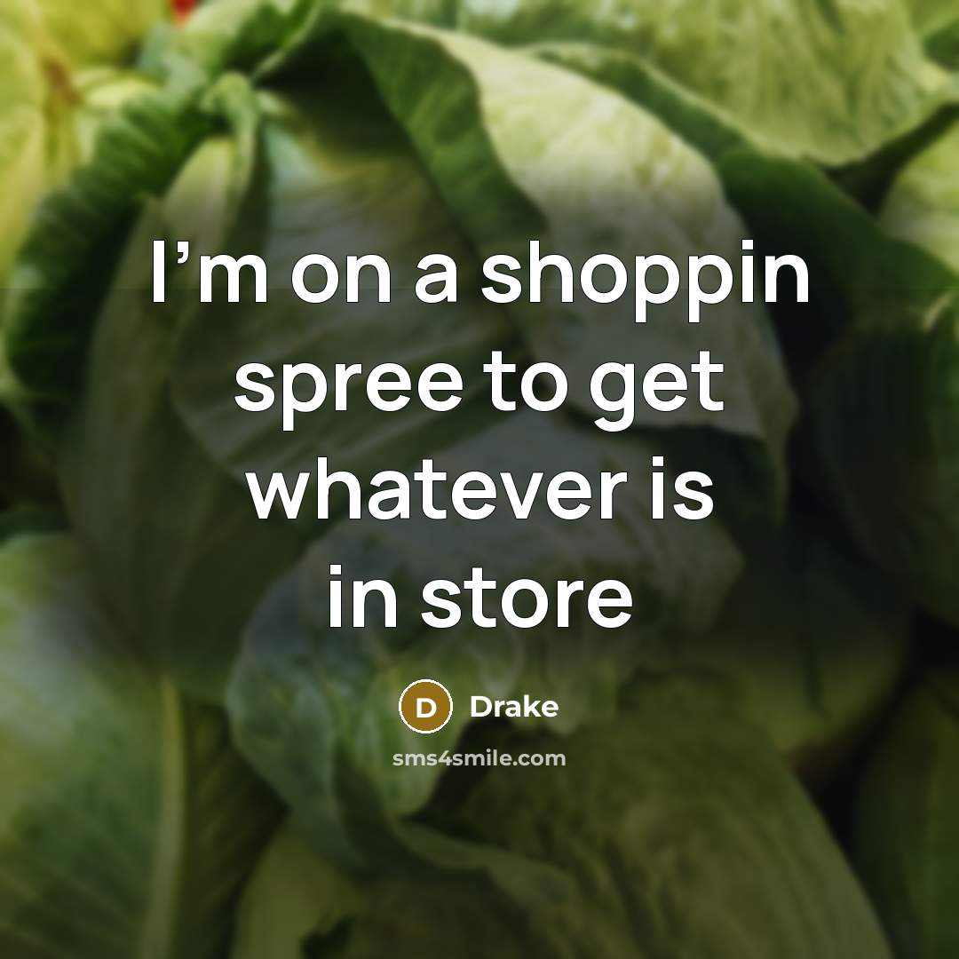 “I'm on a shoppin spree to get whatever is in…” quote by Drake