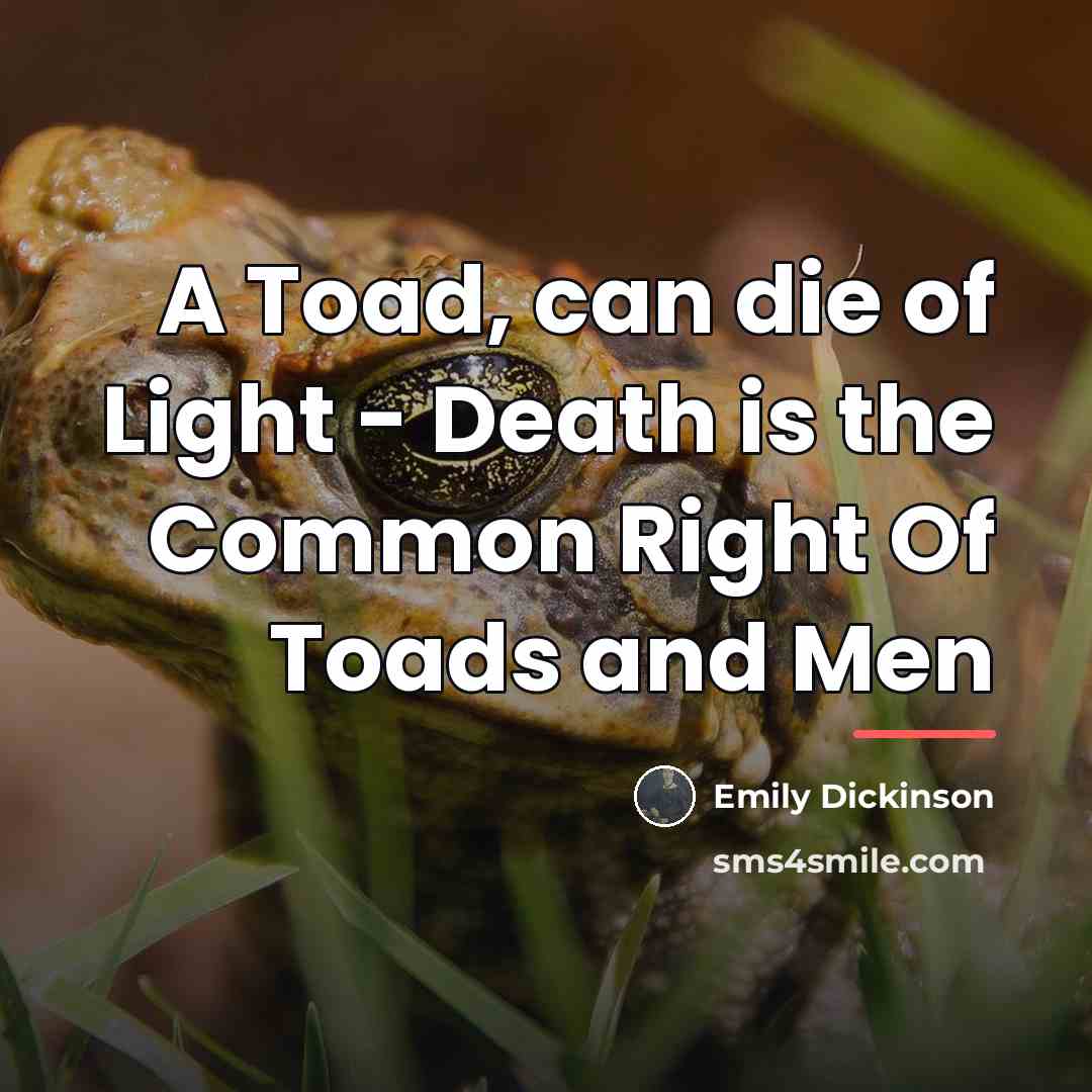 “A Toad, can die of Light - Death is the…” quote by Emily Dickinson