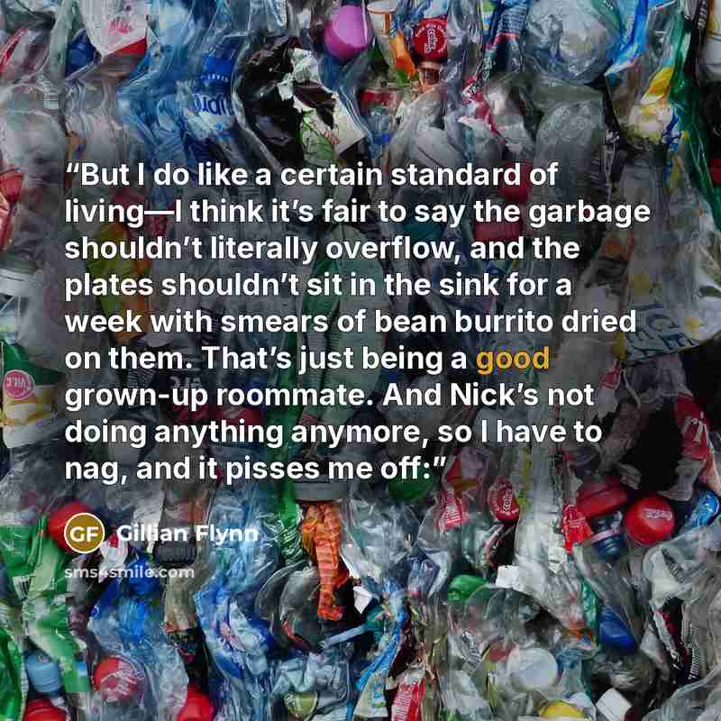 “But I do like a certain standard of living—I think it’s fair to say the garbage shouldn’t literally overflow, and the plates shouldn’t sit in the sink for a week with smears of bean burrito dried on them. That’s just being a good grown-up roommate. And Nick’s not doing anything anymore, so I have…” quote by Gillian Flynn