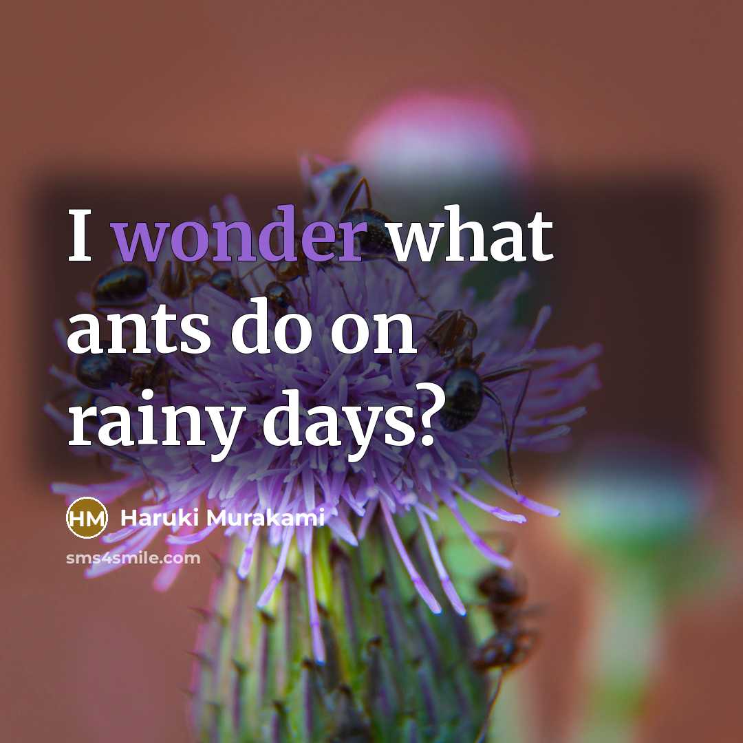 “I wonder what ants do on rainy days?…” quote by Haruki Murakami