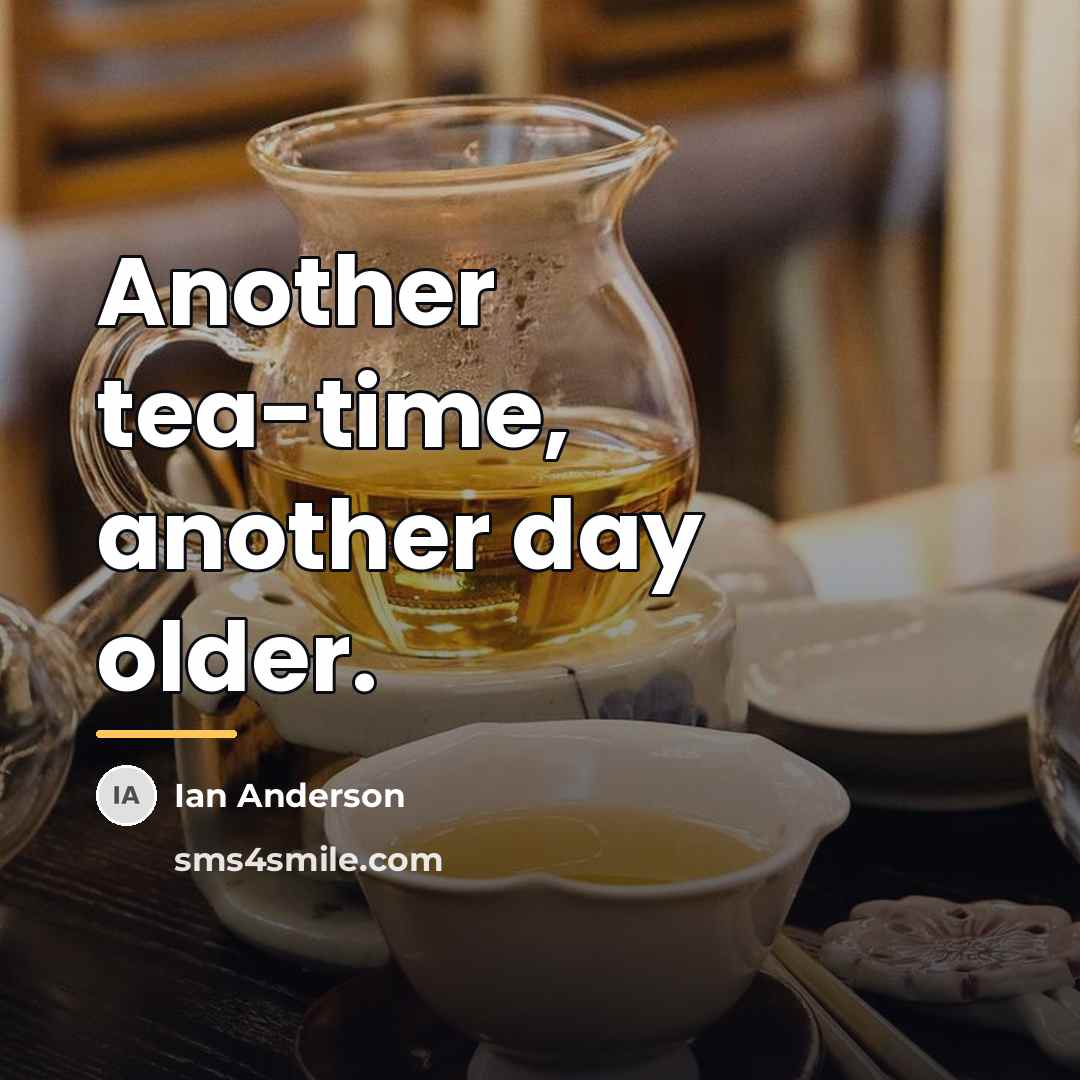 “Another tea-time, another day older.…” quote by Ian Anderson