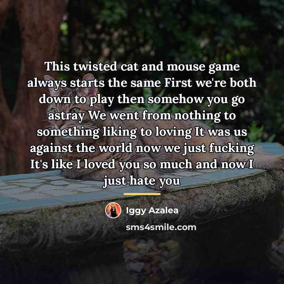 “This twisted cat and mouse game always starts the same…” quote by Iggy Azalea