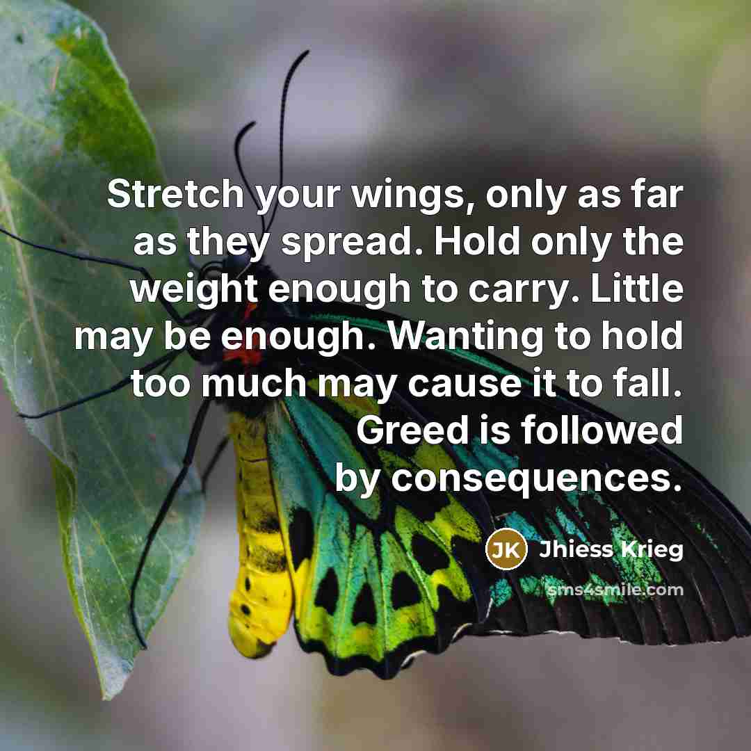 “Stretch your wings, only as far as they spread. Hold…” quote by Jhiess Krieg