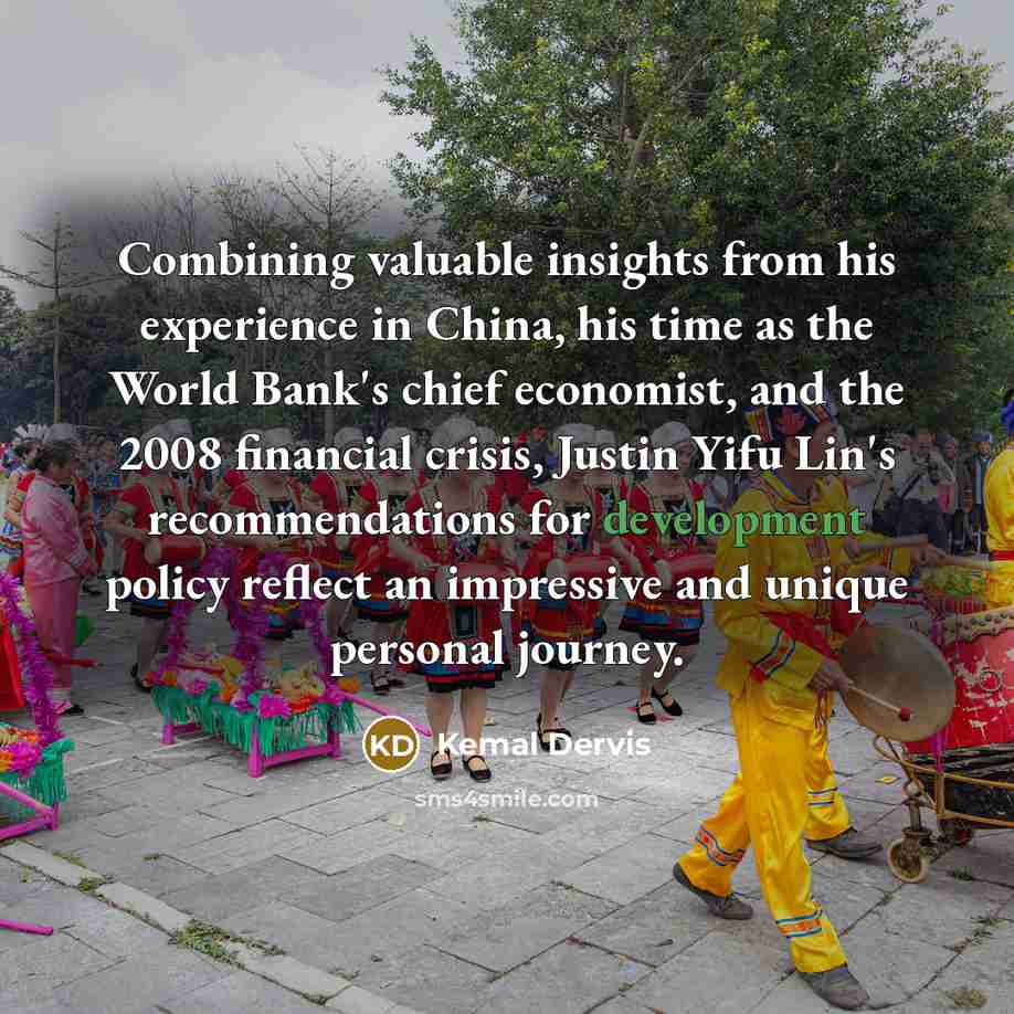 “Combining valuable insights from his experience in China, his time…” quote by Kemal Dervis
