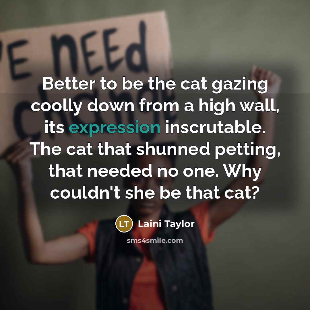 “Better to be the cat gazing coolly down from a…” quote by Laini Taylor