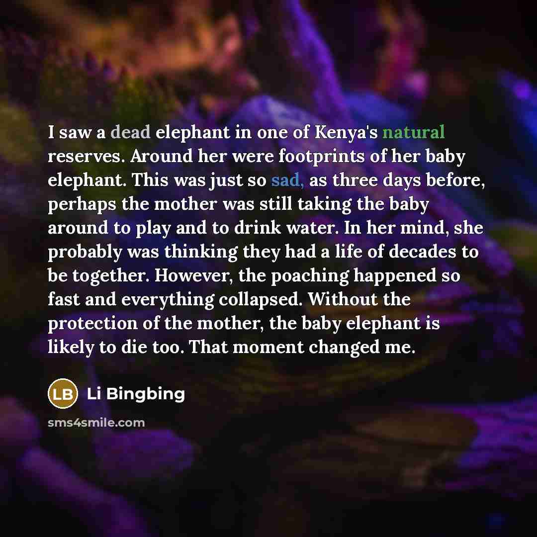 “I saw a dead elephant in one of Kenya's natural reserves. Around her were footprints of her baby elephant. This was just so sad, as three days before, perhaps the mother was still taking the baby around to play and to drink water. In her mind, she probably was thinking they had a life of decades…” quote by Li Bingbing