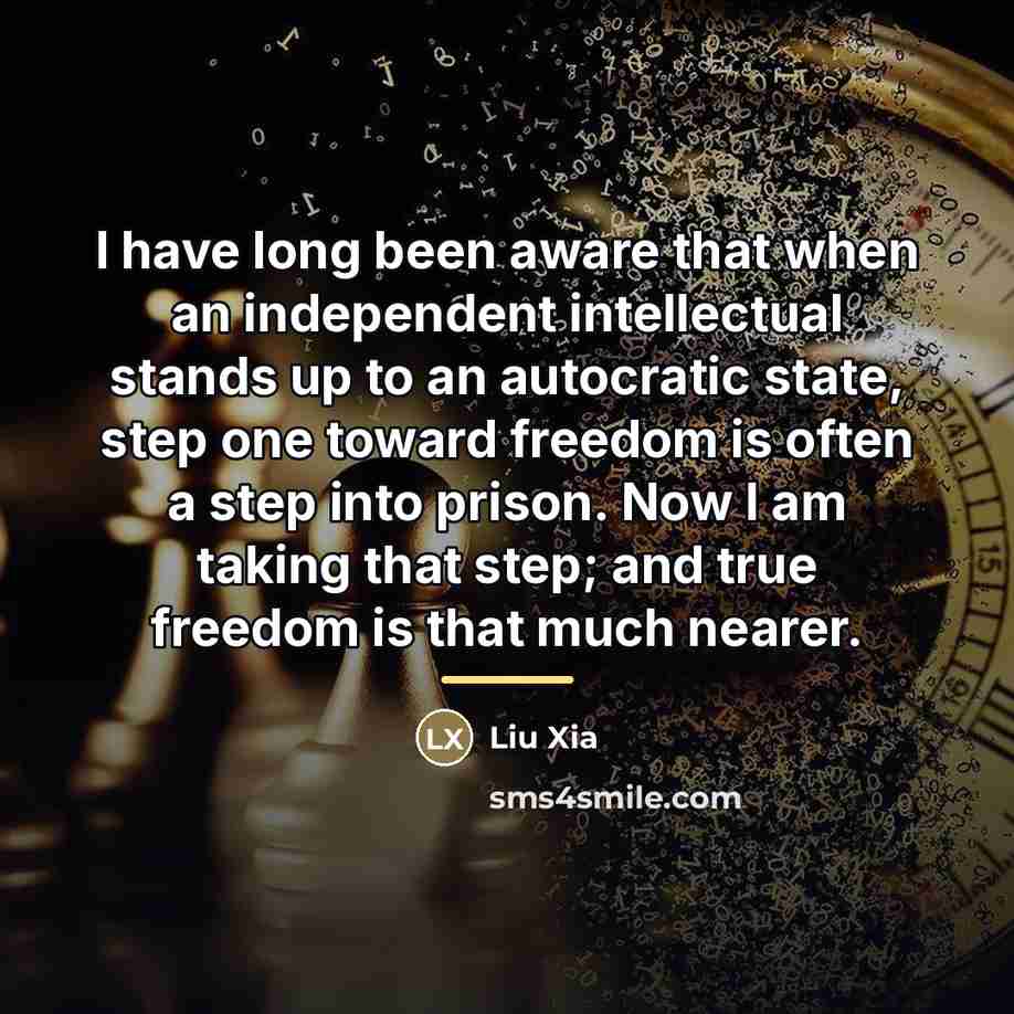 “I have long been aware that when an independent intellectual…” quote by Liu Xia