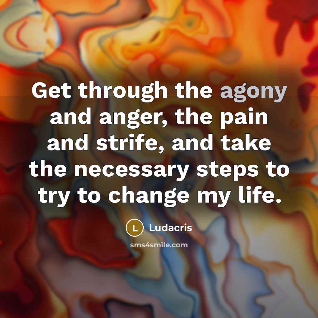 “Get through the agony and anger, the pain and strife,…” quote by Ludacris