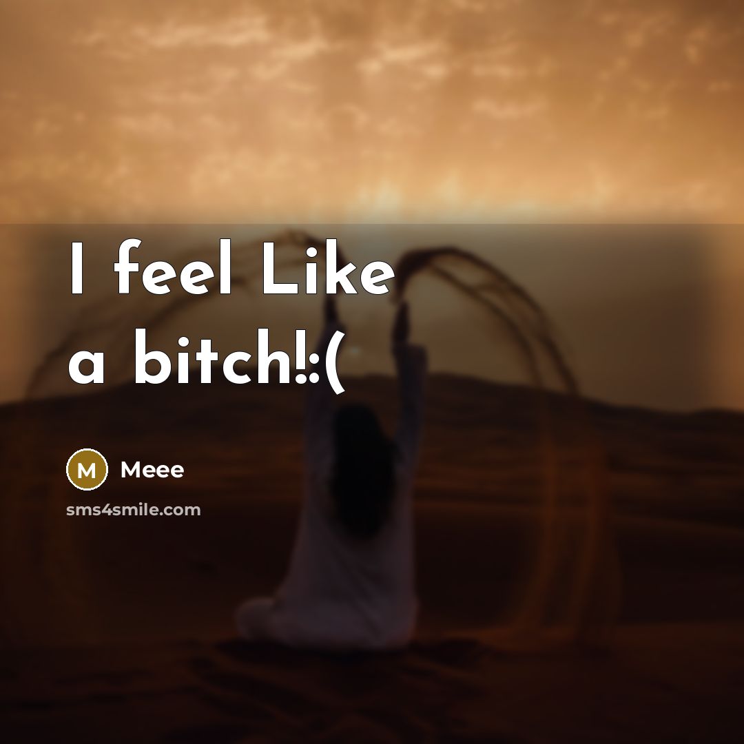 “I feel Like a bitch!:(” quote by Meee
