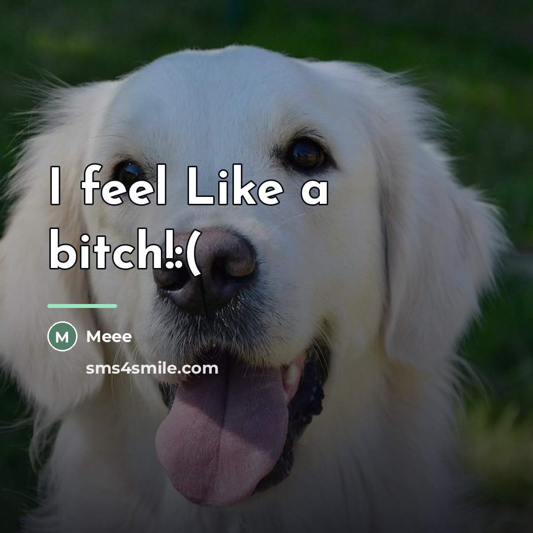 “I feel Like a bitch!:(…” quote by Meee