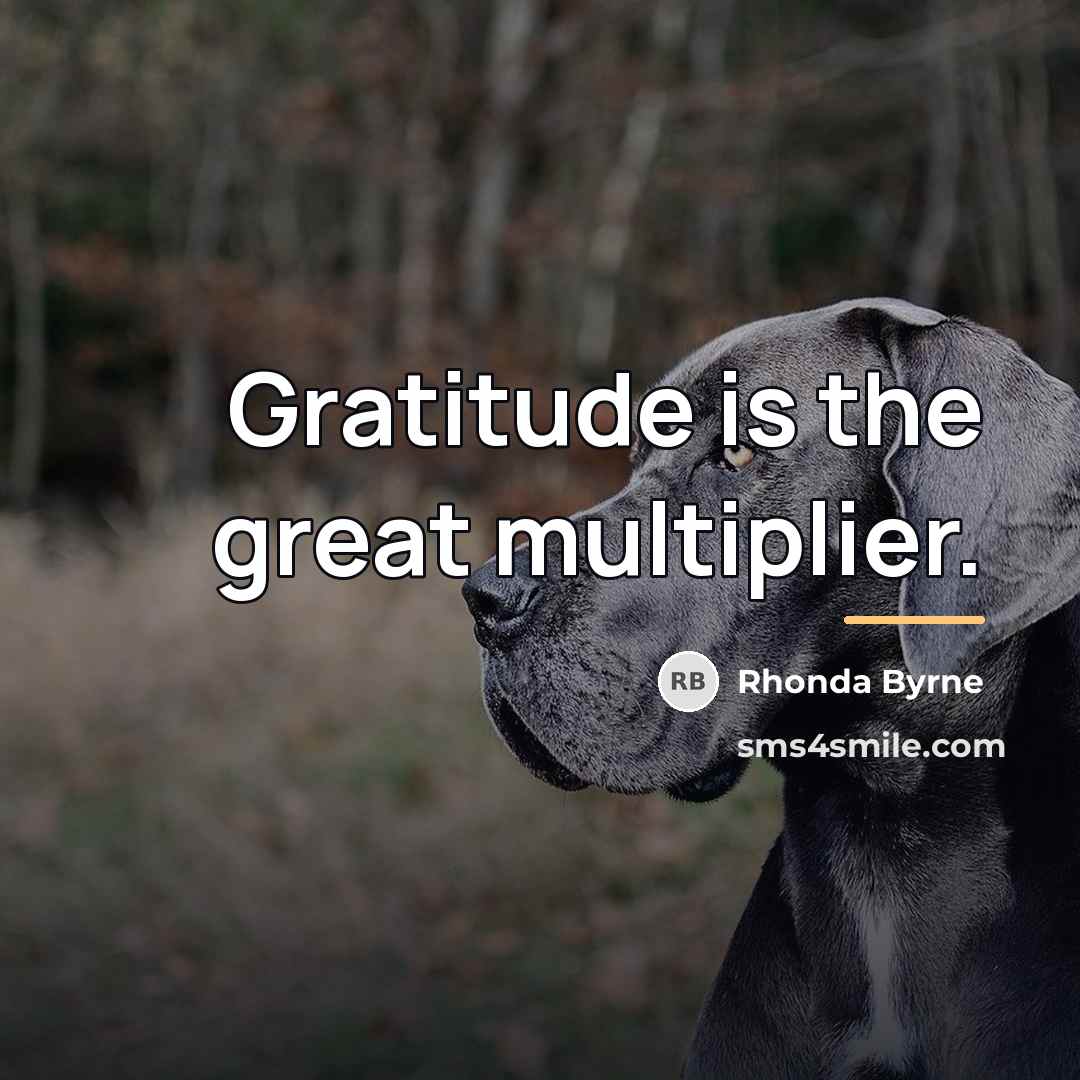 “Gratitude is the great multiplier.…” quote by Rhonda Byrne