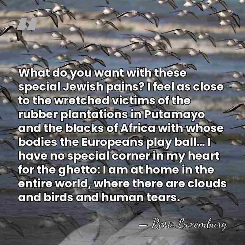 What do you want with these special Jewish pains? I feel as&hellip; - Rosa Luxemburg