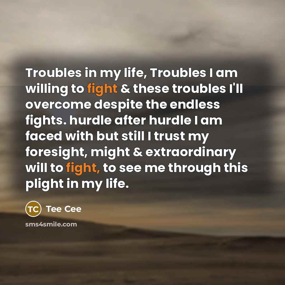 “Troubles in my life, Troubles I am willing to fight…” quote by Tee Cee