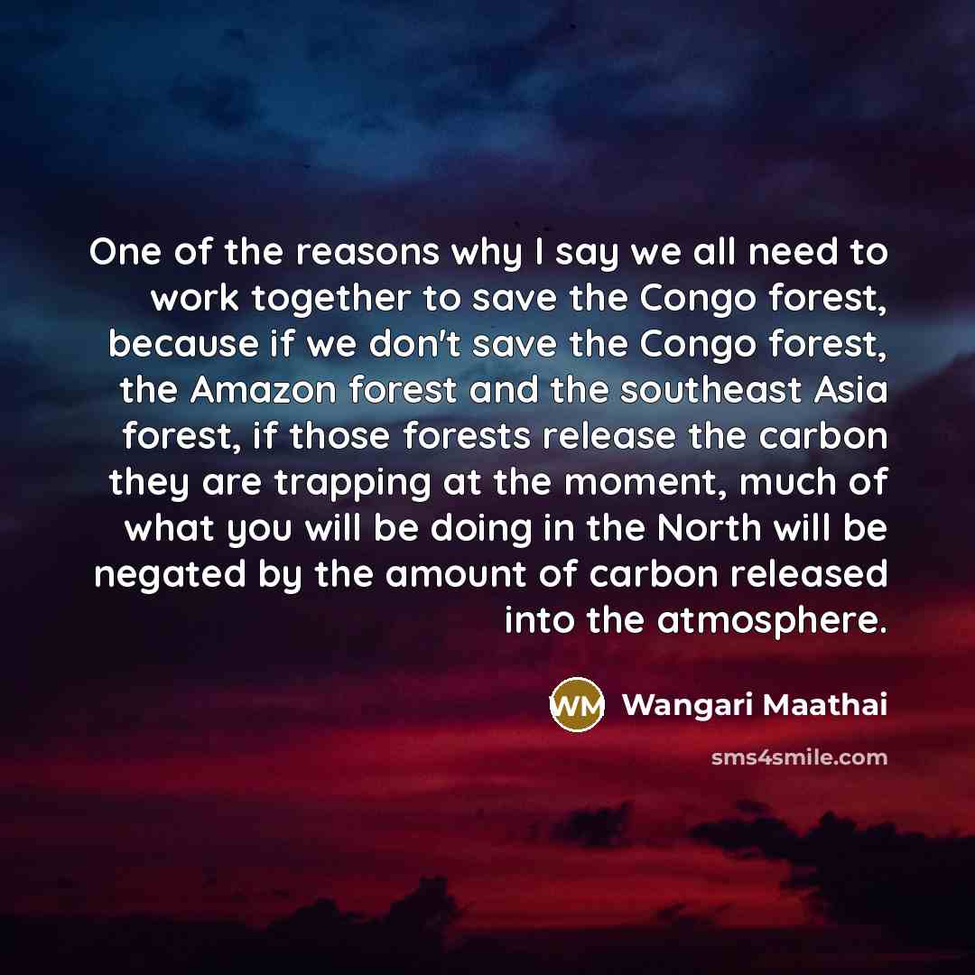 “One of the reasons why I say we all need…” quote by Wangari Maathai