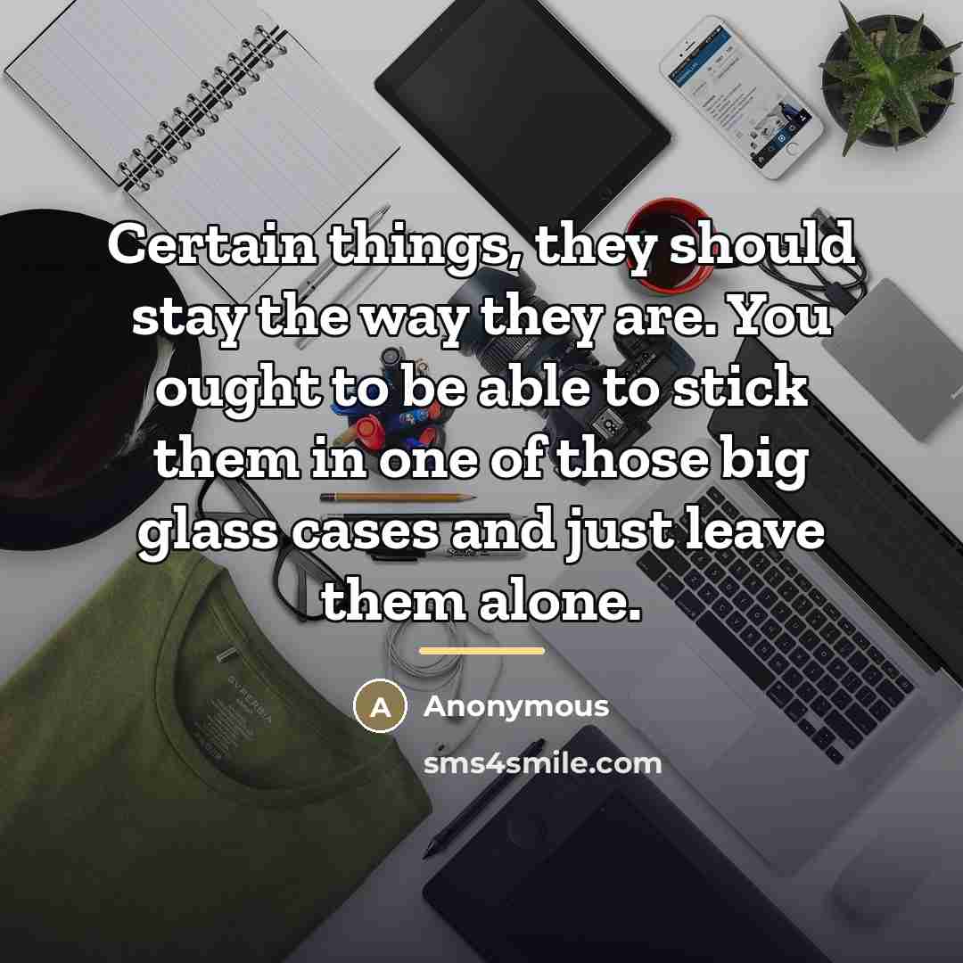 “Certain things, they should stay the way they are. You…” quote by Anonymous