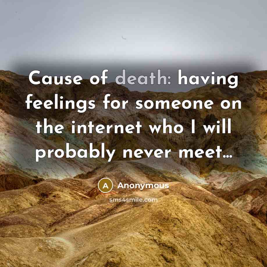 “Cause of death: having feelings for someone on the internet…” quote by Anonymous