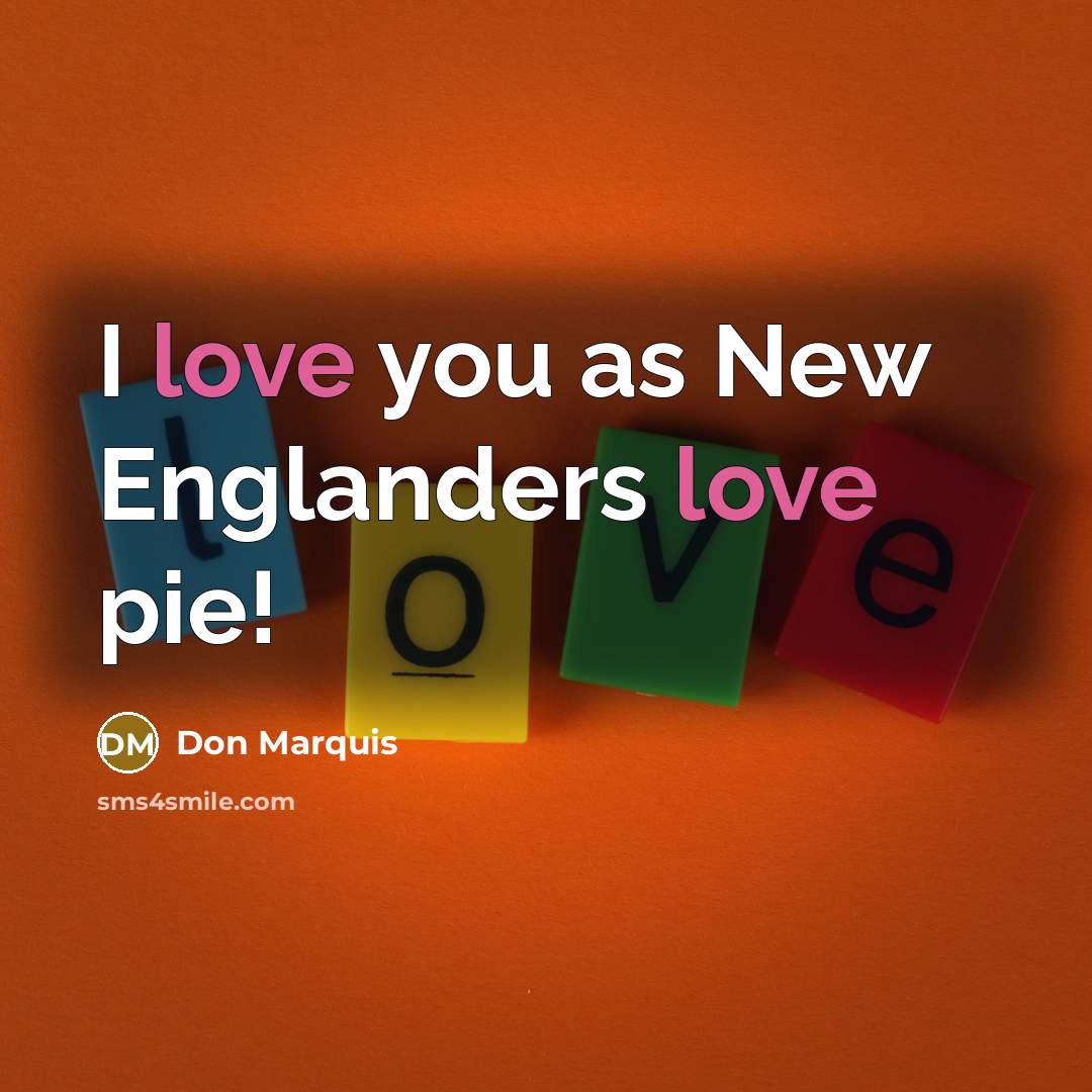 “I love you as New Englanders love pie!…” quote by Don Marquis