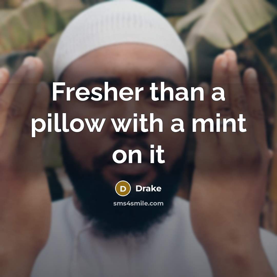 “Fresher than a pillow with a mint on it…” quote by Drake