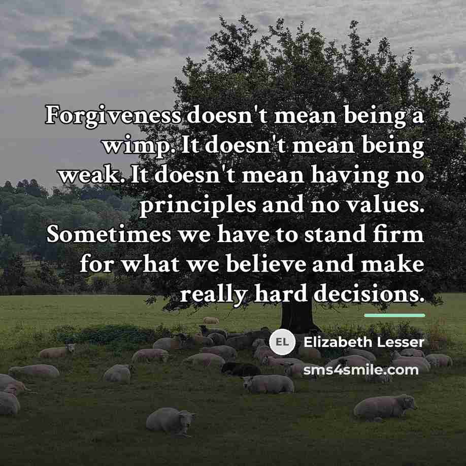 “Forgiveness doesn't mean being a wimp. It doesn't mean being…” quote by Elizabeth Lesser