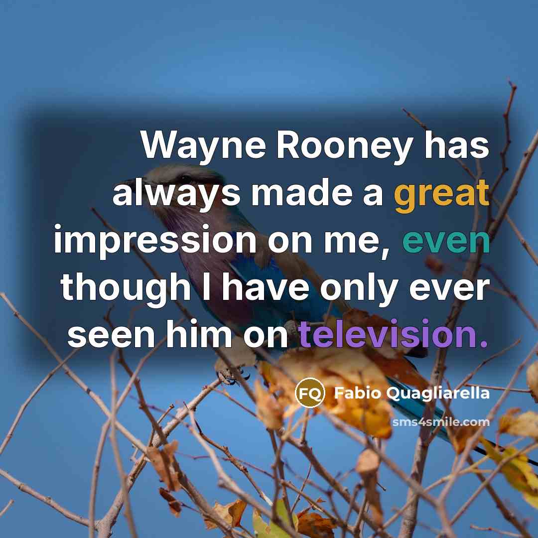 “Wayne Rooney has always made a great impression on me, even though I have only ever seen him on television.” quote by Fabio Quagliarella