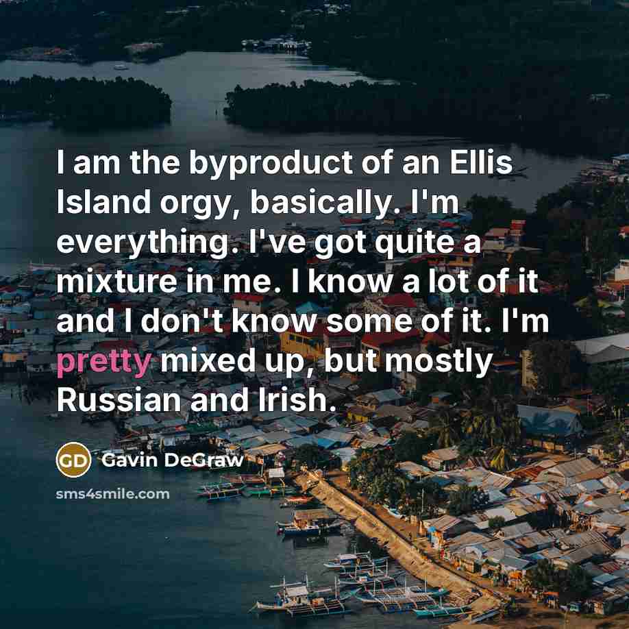 “I am the byproduct of an Ellis Island orgy, basically.…” quote by Gavin DeGraw