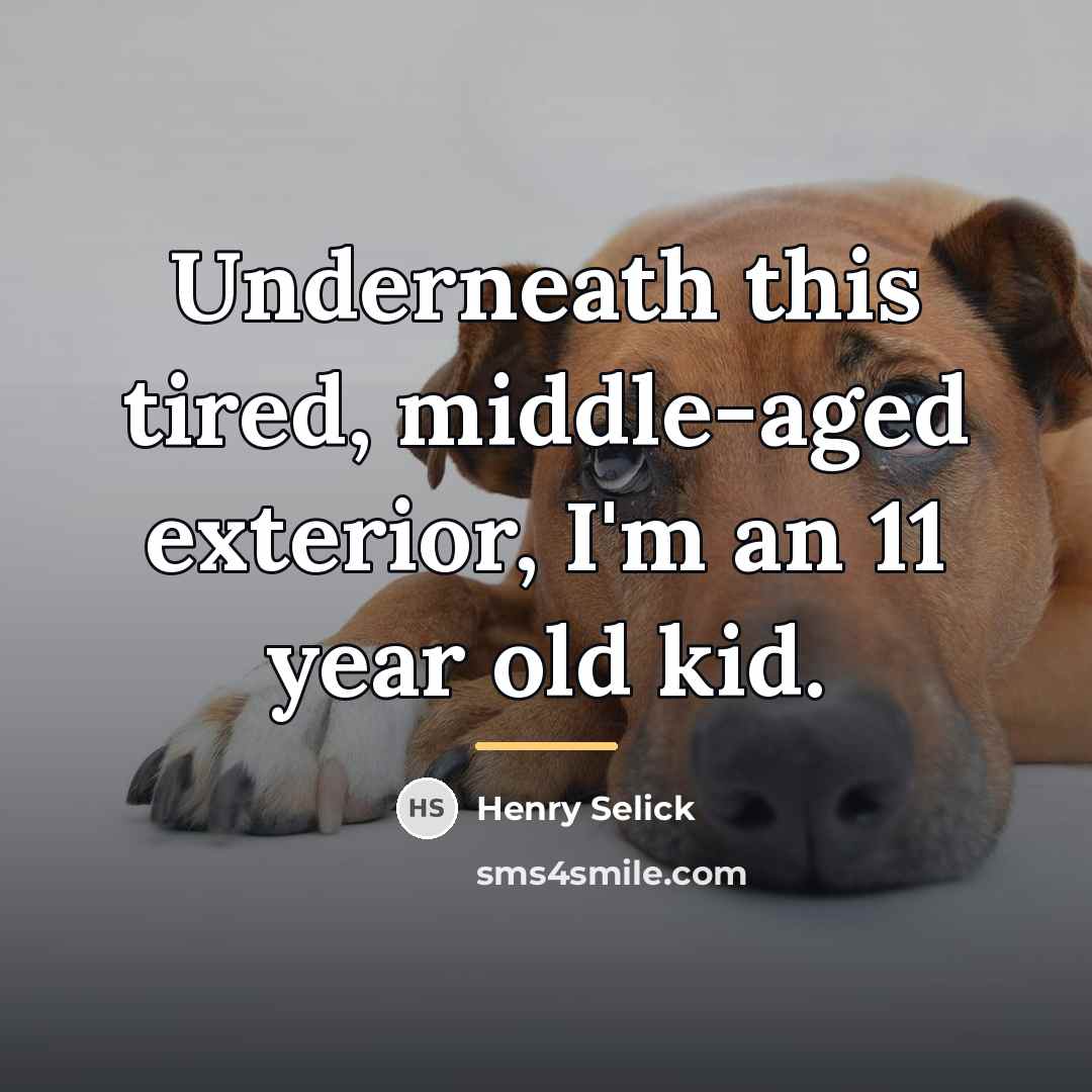 “Underneath this tired, middle-aged exterior, I'm an 11 year old…” quote by Henry Selick