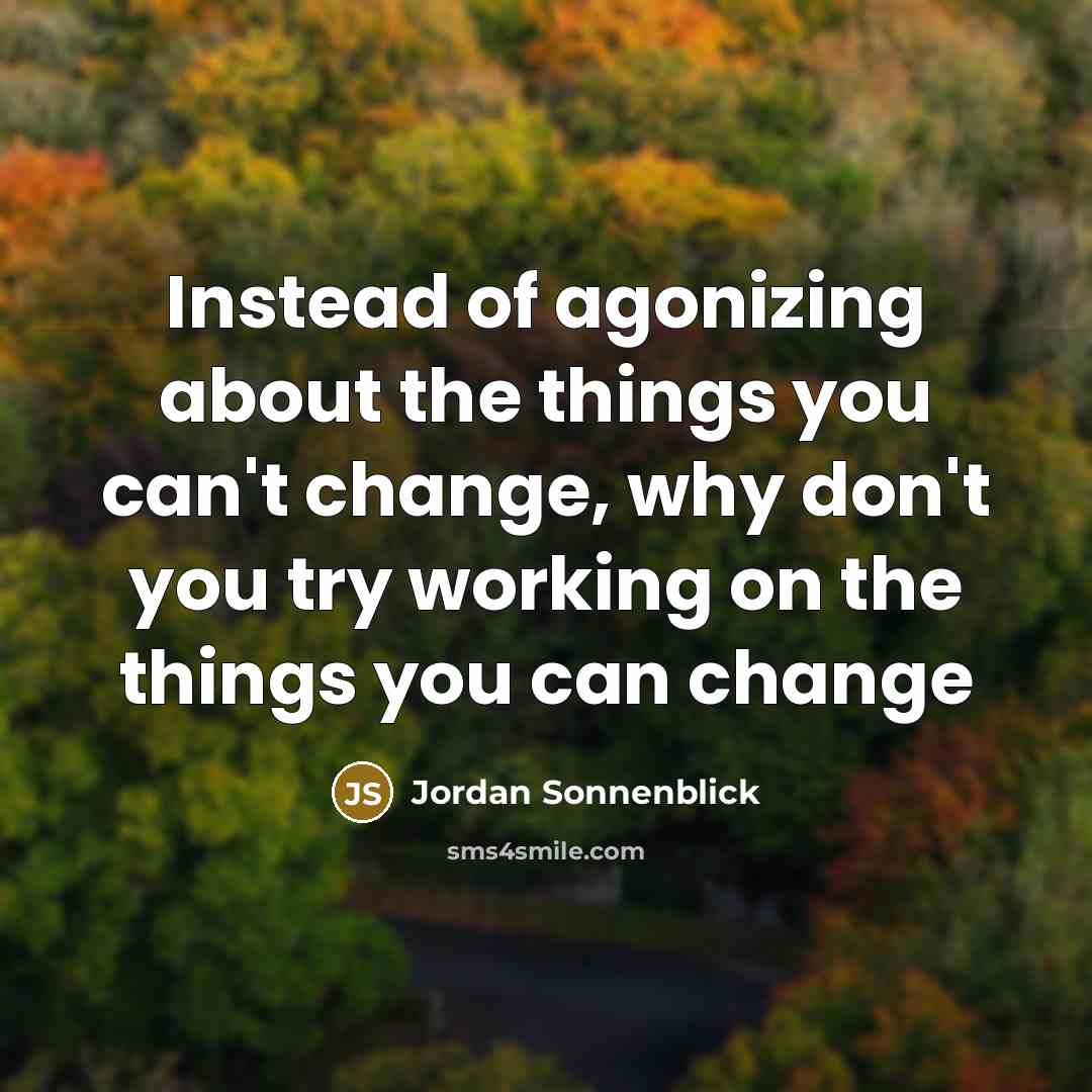 “Instead of agonizing about the things you can't change, why don't you try working on the things you can change” quote by Jordan Sonnenblick