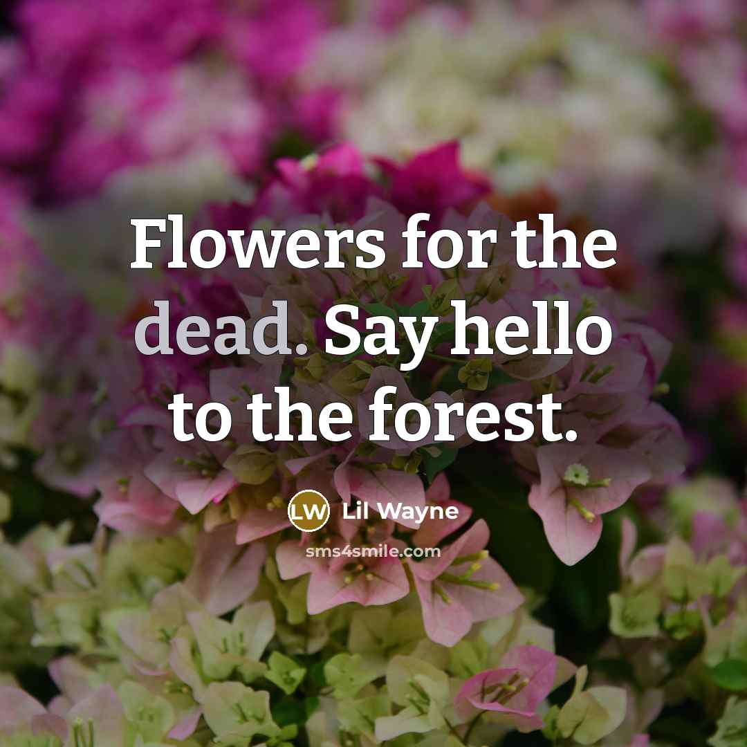 “Flowers for the dead. Say hello to the forest.…” quote by Lil Wayne