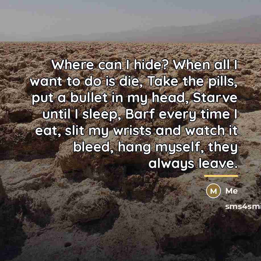 “Where can I hide? When all I want to do…” quote by Me