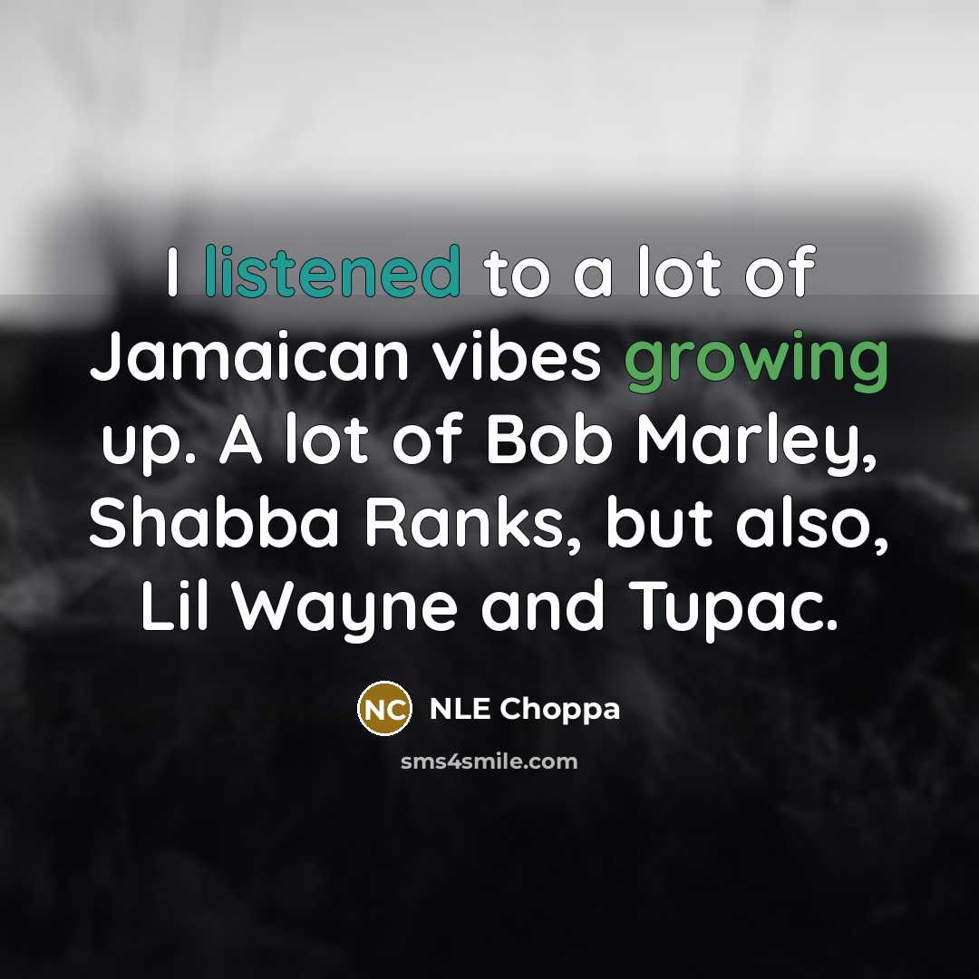 “I listened to a lot of Jamaican vibes growing up. A lot of Bob Marley, Shabba Ranks, but also, Lil Wayne and Tupac.” quote by NLE Choppa
