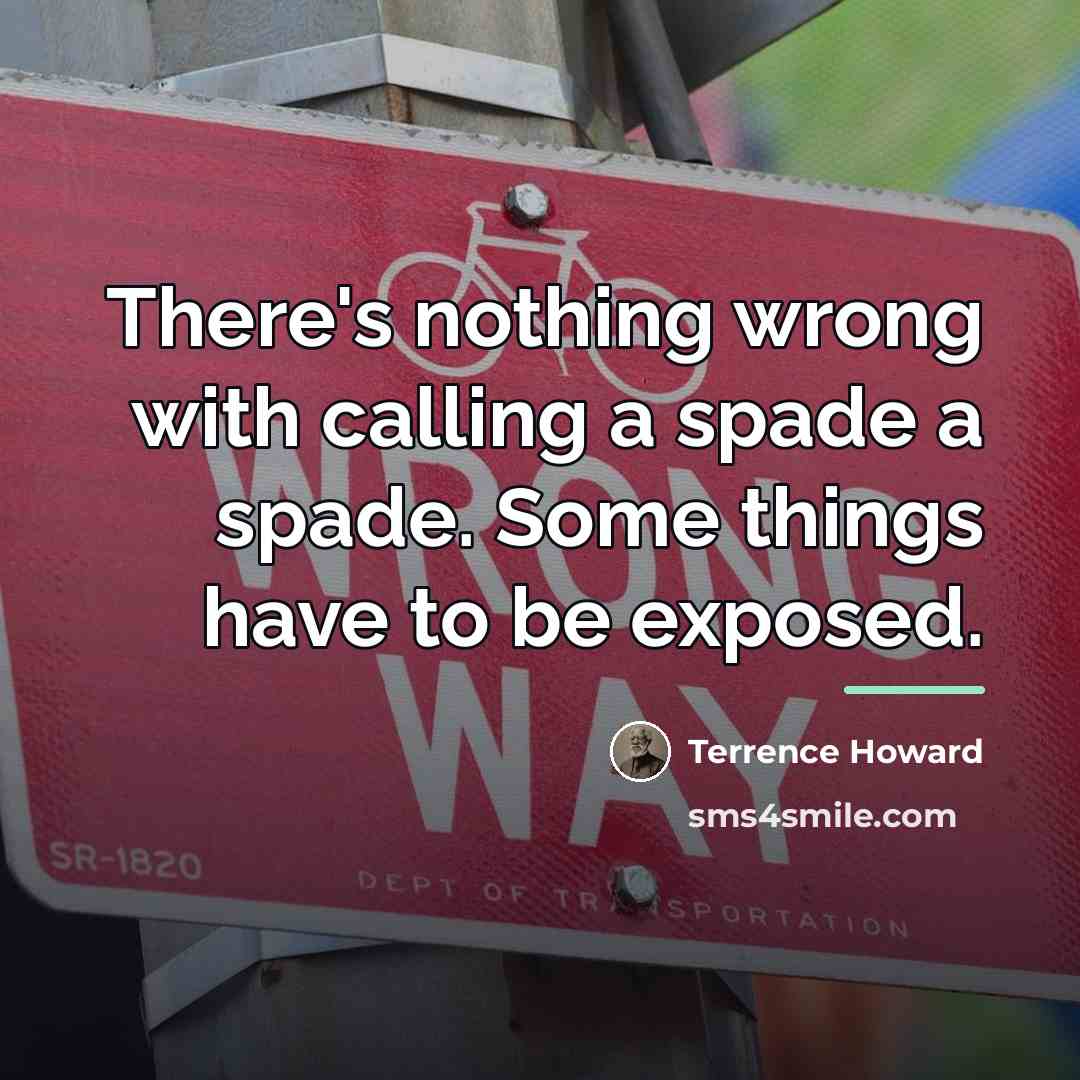 “There's nothing wrong with calling a spade a spade. Some…” quote by Terrence Howard