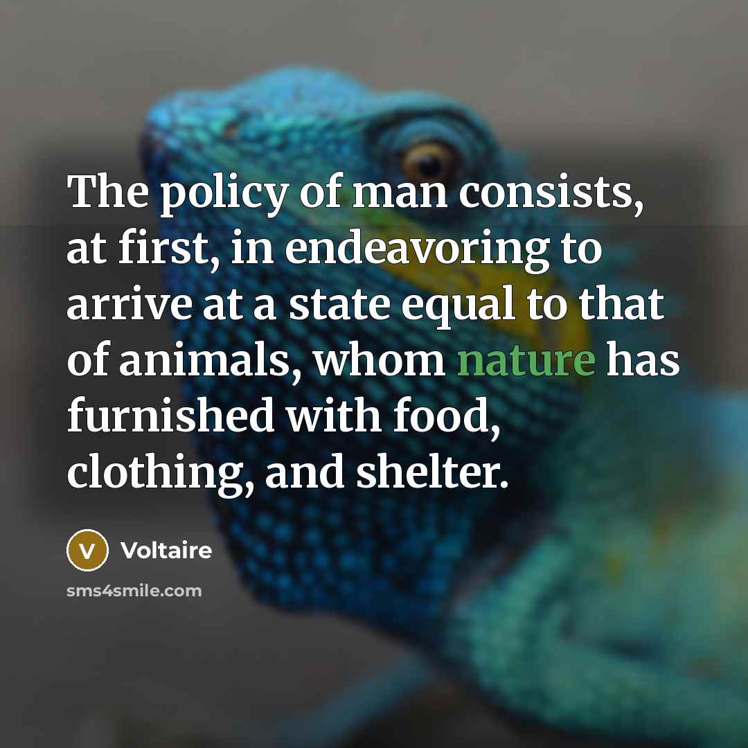“The policy of man consists, at first, in endeavoring to…” quote by Voltaire