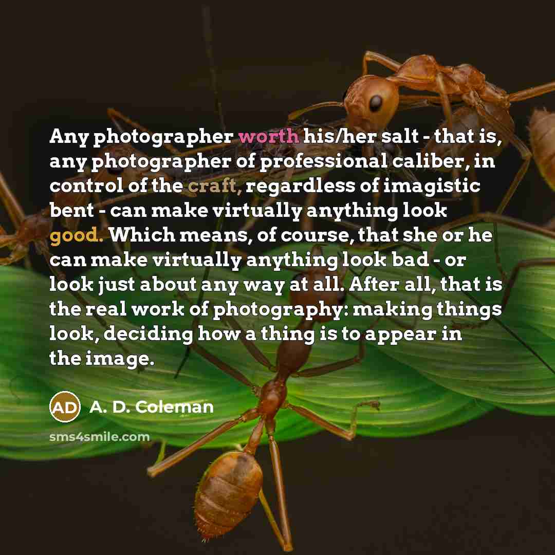 “Any photographer worth his/her salt - that is, any photographer…” quote by A. D. Coleman