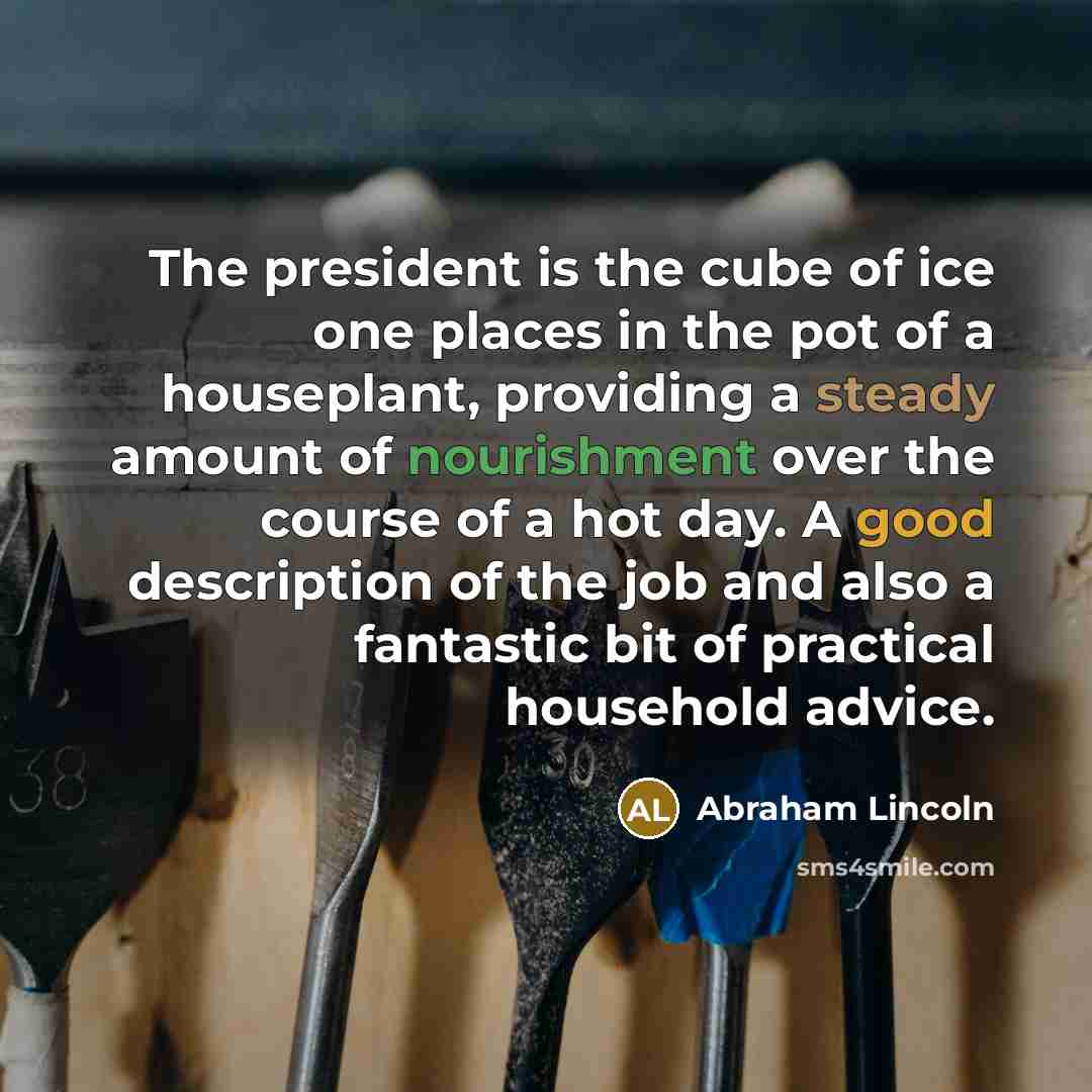 “The president is the cube of ice one places in…” quote by Abraham Lincoln