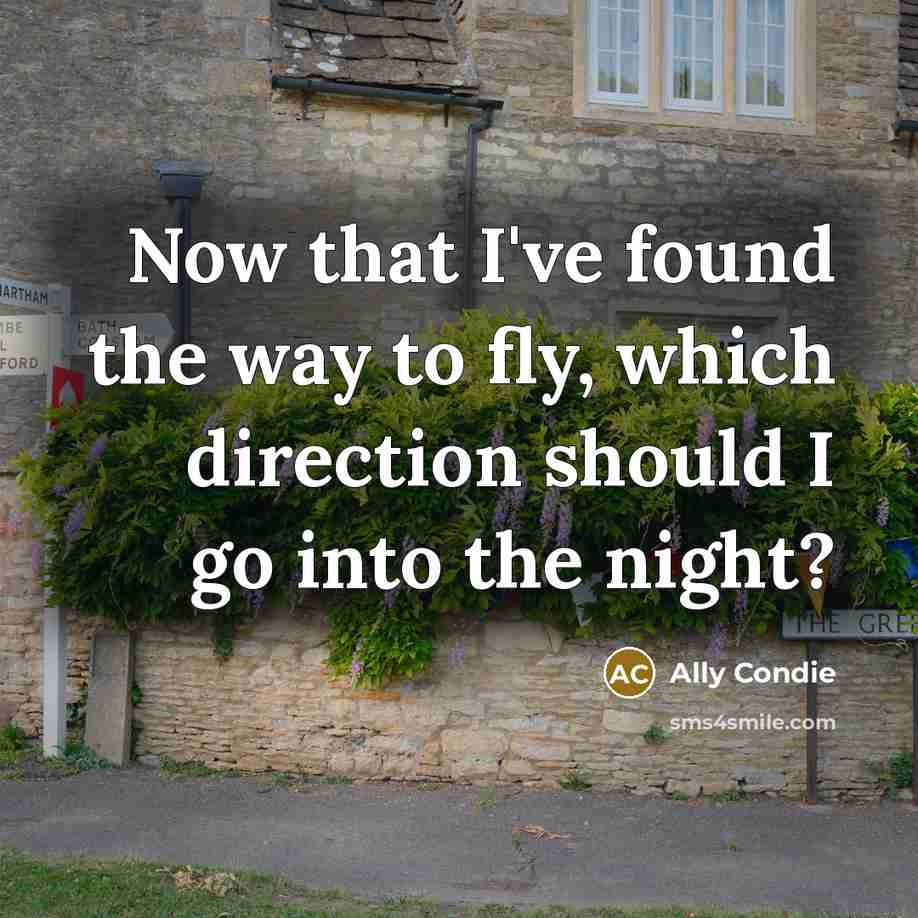 “Now that I've found the way to fly, which direction…” quote by Ally Condie