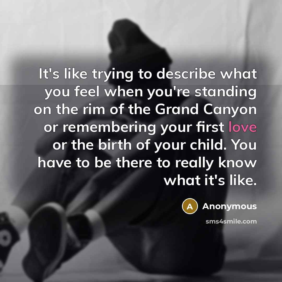 “It's like trying to describe what you feel when you're…” quote by Anonymous