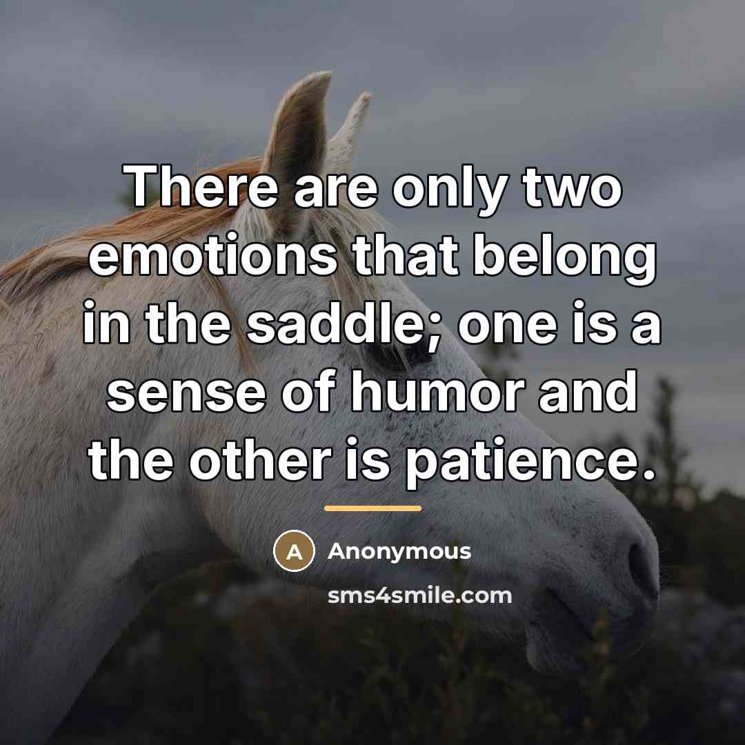 “There are only two emotions that belong in the saddle;…” quote by Anonymous