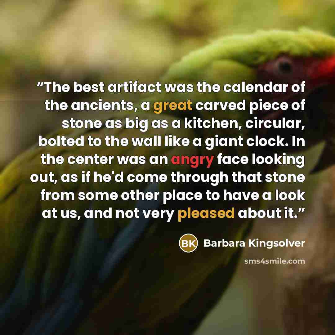 “The best artifact was the calendar of the ancients, a great carved piece of stone as big as a kitchen, circular, bolted to the wall like a giant clock. In the center was an angry face looking out, as if he'd come through that stone from some other place to have a look at us, and not very pleased…” quote by Barbara Kingsolver