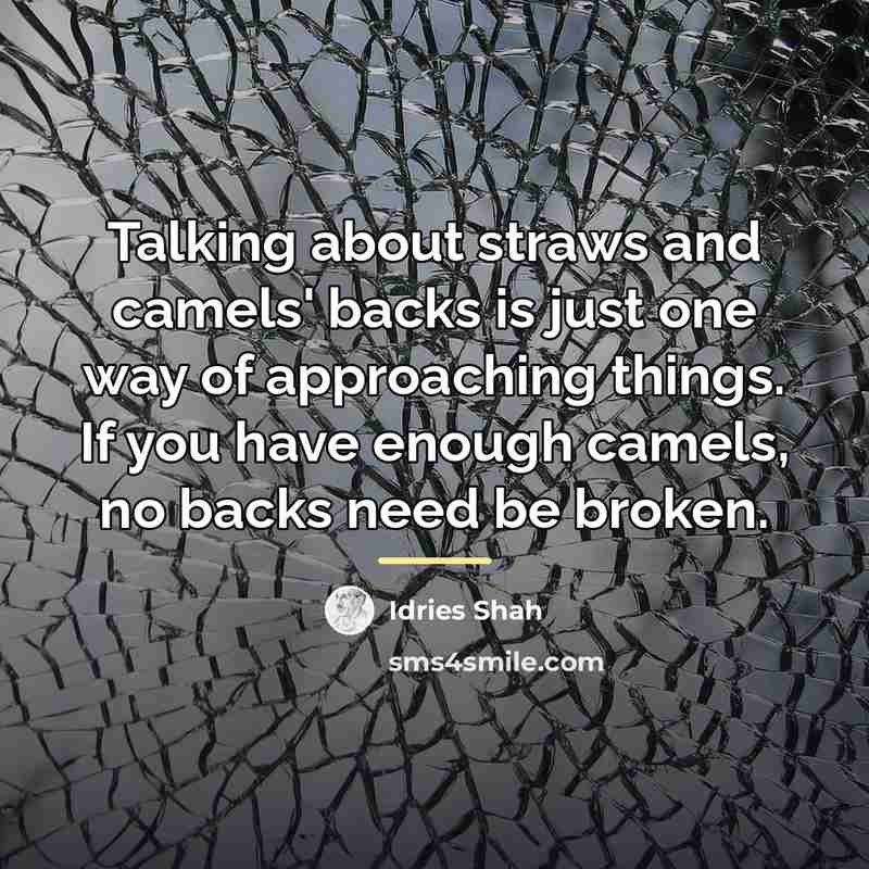 “Talking about straws and camels' backs is just one way…” quote by Idries Shah