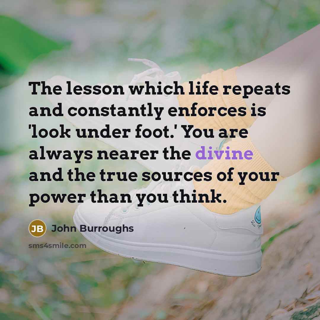 “The lesson which life repeats and constantly enforces is 'look…” quote by John Burroughs