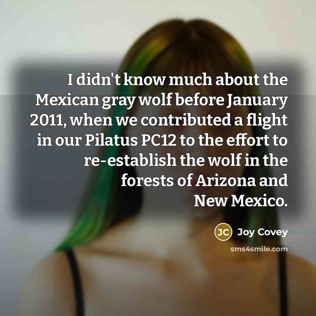 “I didn't know much about the Mexican gray wolf before…” quote by Joy Covey