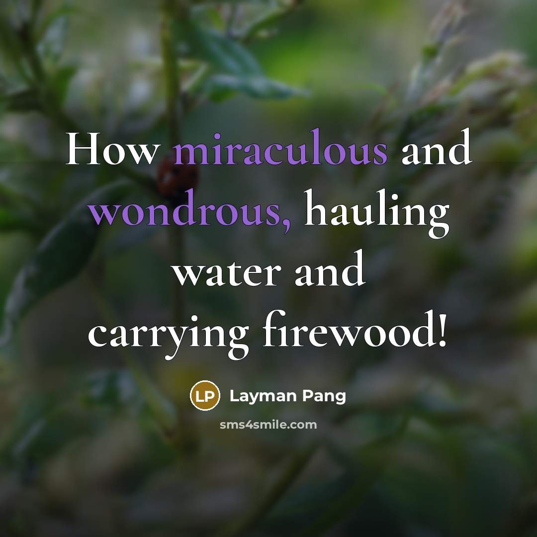 “How miraculous and wondrous, hauling water and carrying firewood!…” quote by Layman Pang