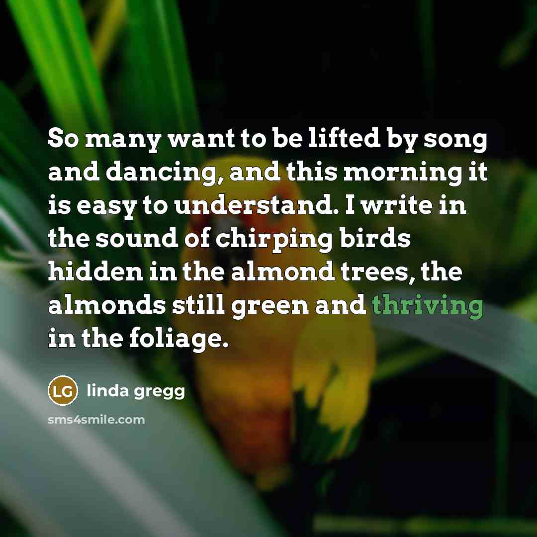 “So many want to be lifted by song and dancing,…” quote by Linda Gregg