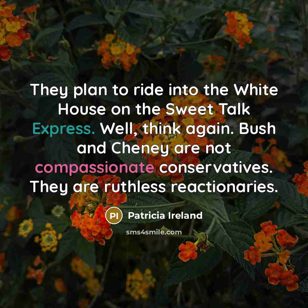 “They plan to ride into the White House on the…” quote by Patricia Ireland