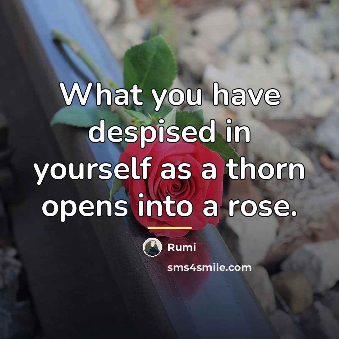 “What you have despised in yourself as a thorn opens…” quote by Rumi