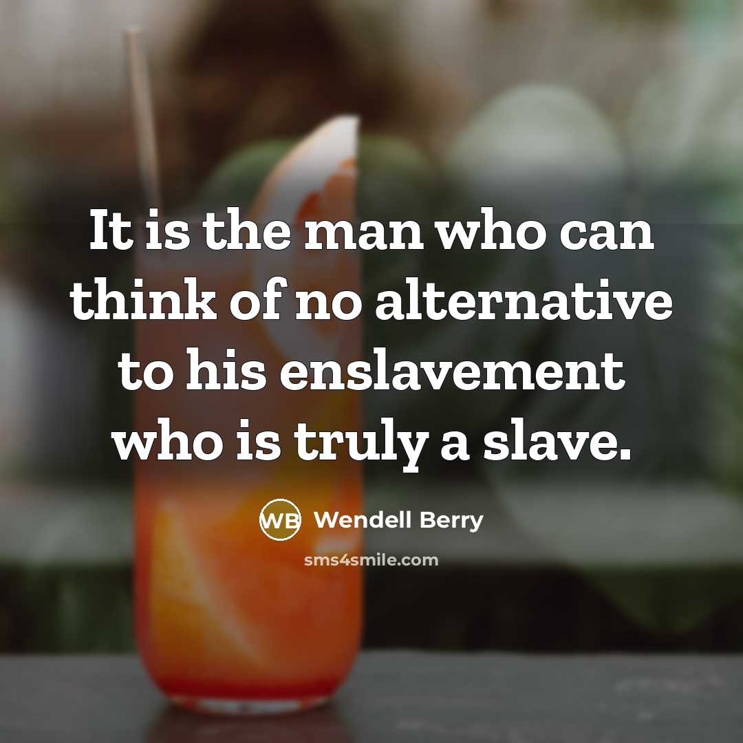 “It is the man who can think of no alternative…” quote by Wendell Berry