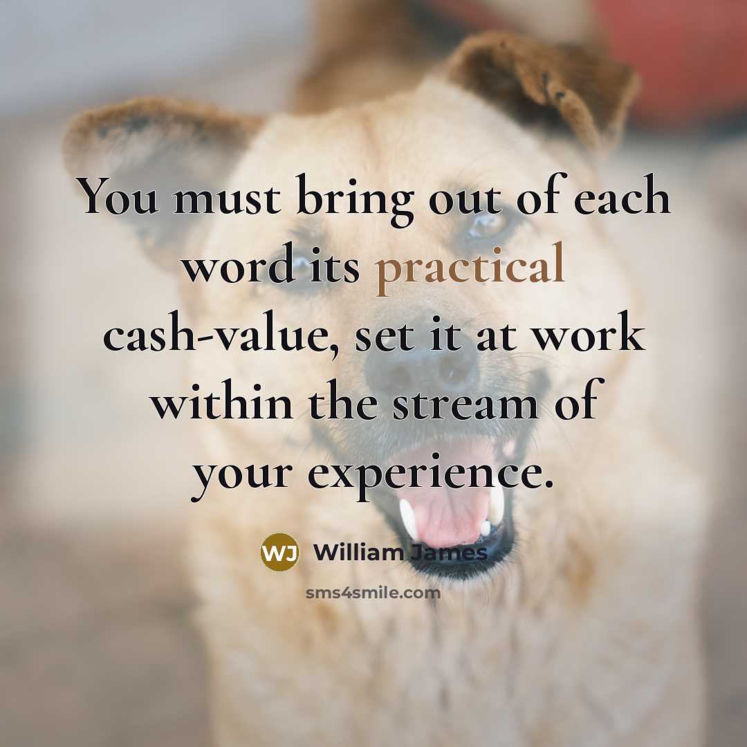 “You must bring out of each word its practical cash-value,…” quote by William James