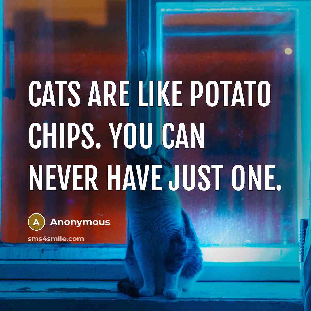 “Cats are like potato chips. You can never have just…” quote by Anonymous